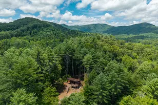 0 Higdon Creek Rd, Blue Ridge, GA 30513 - Photo 23