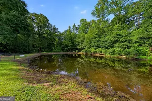 1723 Drew Allen Rd, Williamson, GA 30292 - Photo 11