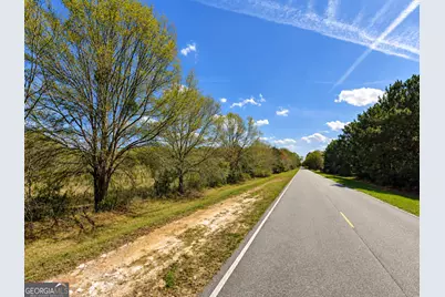 25.69 Acres Gaissert Road, Albany, GA 31705 - Photo 7