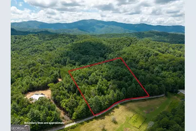 0 White Pine Road, McCaysville, GA 30555 - Photo 1