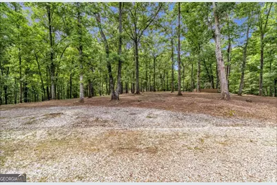 285 Wolf Den Road, Royston, GA 30662 - Photo 59