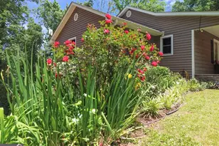 285 Wolf Den Rd, Royston, GA 30662 - Photo 5