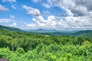 25 Ivy Log Hts Spur, Young Harris, GA 30582 - Photo 45