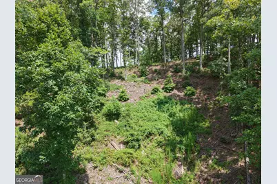 297 Pebble Trace, Talking Rock, GA 30175 - Photo 13