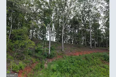 297 Pebble Trace, Talking Rock, GA 30175 - Photo 27