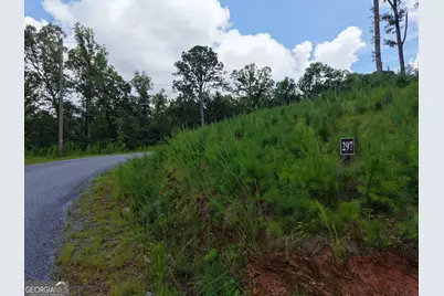 297 Pebble Trace, Talking Rock, GA 30175 - Photo 21