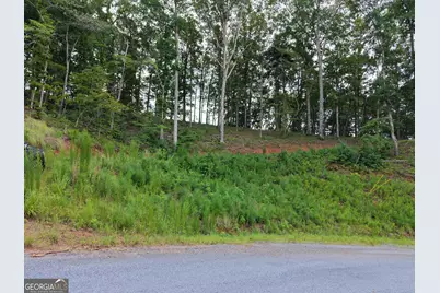 297 Pebble Trace, Talking Rock, GA 30175 - Photo 23
