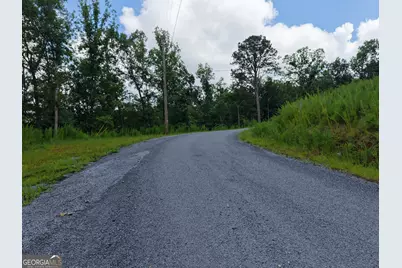 297 Pebble Trace, Talking Rock, GA 30175 - Photo 19