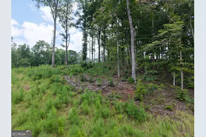297 Pebble Trace, Talking Rock, GA 30175 - Photo 29