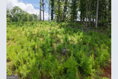 297 Pebble Trace, Talking Rock, GA 30175 - Photo 7
