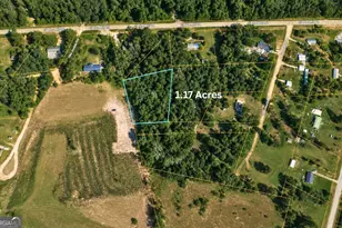 1002 Hodges Rd, Louisville, GA 30434 - Photo 1