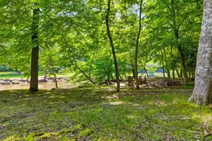 5 W Muller Ln, Ellijay, GA 30540 - Photo 55