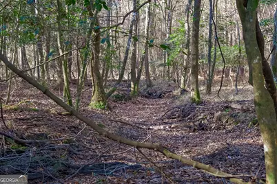 557 Limestone Road, Cochran, GA 31014 - Photo 7