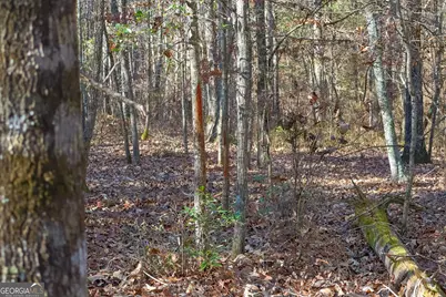 557 Limestone Road, Cochran, GA 31014 - Photo 11
