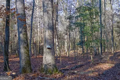 557 Limestone Road, Cochran, GA 31014 - Photo 1
