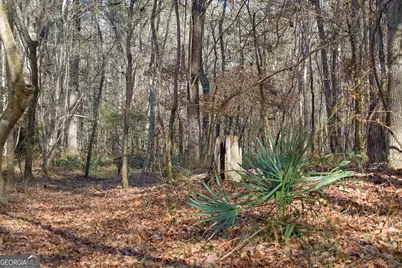 557 Limestone Road, Cochran, GA 31014 - Photo 15