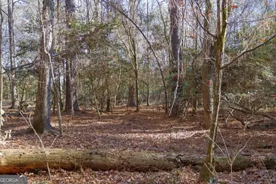 557 Limestone Road, Cochran, GA 31014 - Photo 5