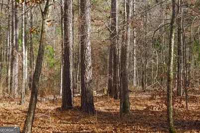 557 Limestone Road, Cochran, GA 31014 - Photo 19