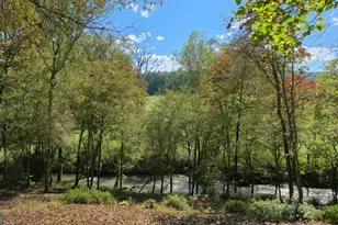 2575 Hwy 66, Young Harris, GA 30582 - Photo 11