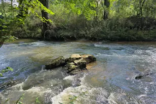 2575 Hwy 66, Young Harris, GA 30582 - Photo 3