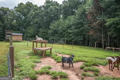 2014 Athens Road, Royston, GA 30662 - Photo 37