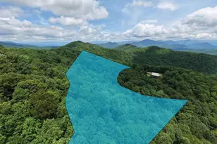 34 Ac Caesar Gap Rd, Hiawassee, GA 30546 - Photo 1