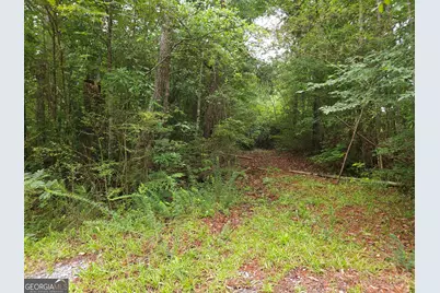 0 Potash Road #19A019, Cedartown, GA 30125 - Photo 3