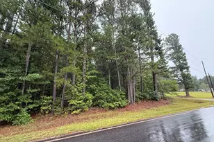 0 Lee Thompson Rd, Moreland, GA 30259 - Photo 1