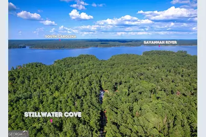 1309 Shimmering Water Cove, Tignall, GA 30668 - Photo 1