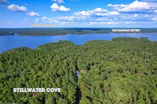 1309 Shimmering Water Cove, Tignall, GA 30668 - Photo 1