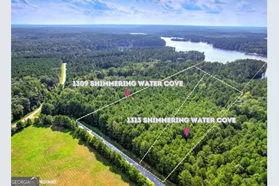 1309 Shimmering Water Cove, Tignall, GA 30668 - Photo 3
