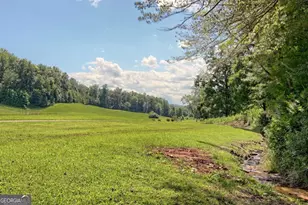 299 Old Homestead Ln, Hayesville, NC 28904 - Photo 65