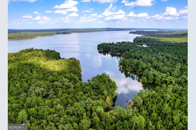 1416 Rock Point Cove, Tignall, GA 30668 - Photo 3