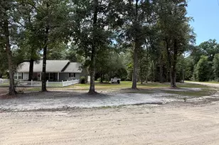 325 Creekview Dr, Hortense, GA 31543 - Photo 3