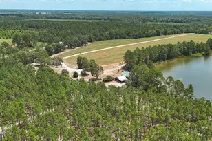 3733 Oak Hill Rd, Blackshear, GA 31516 - Photo 9