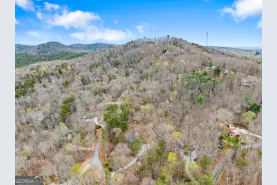 426 Skyview Circle, Clarkesville, GA 30523 - Photo 39