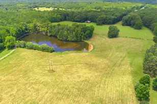607 Grant Rd, Brooks, GA 30205 - Photo 47