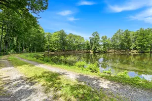 607 Grant Rd, Brooks, GA 30205 - Photo 17
