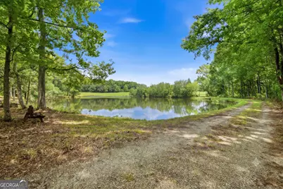 607 Grant Road, Brooks, GA 30205 - Photo 3