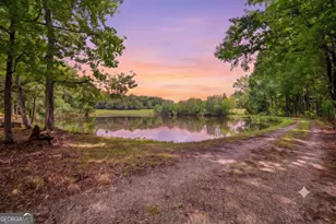 607 Grant Rd, Brooks, GA 30205 - Photo 53