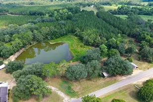 45 Nease Rd, Glennville, GA 30427 - Photo 1