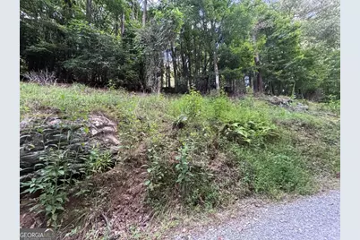 1163 Tipton Springs Road, Morganton, GA 30560 - Photo 17