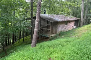 1163 Tipton Springs Rd, Morganton, GA 30560 - Photo 11