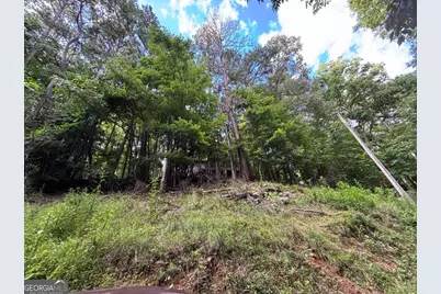 1163 Tipton Springs Road, Morganton, GA 30560 - Photo 15