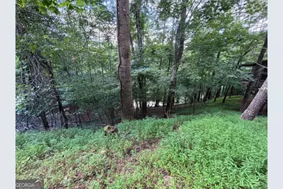 1163 Tipton Springs Road, Morganton, GA 30560 - Photo 13