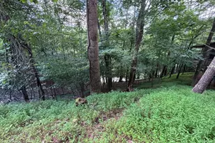 1163 Tipton Springs Rd, Morganton, GA 30560 - Photo 13