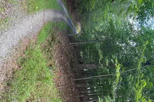 1163 Tipton Springs Rd, Morganton, GA 30560 - Photo 7