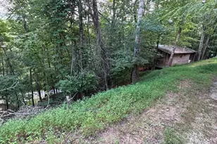 1163 Tipton Springs Rd, Morganton, GA 30560 - Photo 1