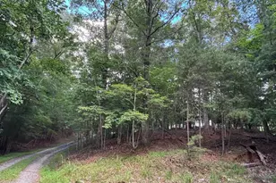 1163 Tipton Springs Rd, Morganton, GA 30560 - Photo 5