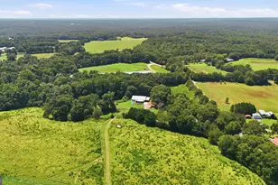 2170 Fork Creek Rd, Bowman, GA 30624 - Photo 37